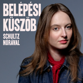 Belépési küszöb